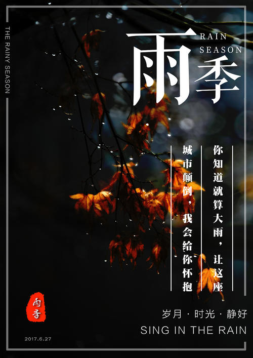中国国际驾照图样